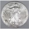 Image 2 : 1996 AMERICAN SILVER EAGLE