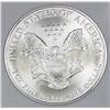 Image 3 : 1996 AMERICAN SILVER EAGLE