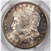 Image 2 : 1880-S MORGAN PCGS MS 65