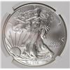 Image 2 : 2015 AMERICAN SILVER EAGLE NGC MS 70