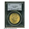 Image 1 : 1907 $20 MS64 PCGS. The 1907 is a common date in 