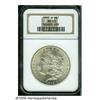 Image 3 : 1902-S S$1 MS65 NGC. Here is a late date Morgan D