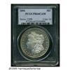 Image 1 : 1891 S$1 PR64 Cameo PCGS. A Choice specimen that 