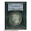 Image 3 : 1891 S$1 PR64 Cameo PCGS. A Choice specimen that 
