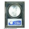 Image 2 : 1924 S$1 MS66 PCGS. This flashy Peace dollar disp