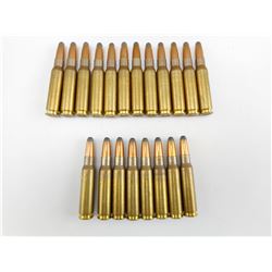 .308 AMMO
