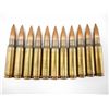Image 1 : .308" DIA AMMO