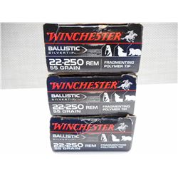 WINCHESTER 22-250 AMMO