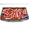 Image 6 : 12 GAUGE SHOTGUN SHELLS, AND METAL TIN