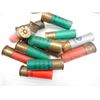 Image 2 : ASSORTED 12 GA. SHOTGUN SHELLS, PRIMERS