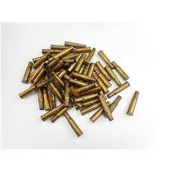 .303 SAVAGE BRASS