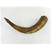 Image 2 : LARGE ANTIQUE MOUNTAIN MAN OR AMERINDIAN POWDER HORN