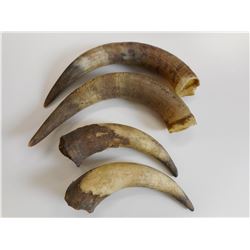POWDER HORN MEASURES FOR BLACK POWDER (UNFINISHED)