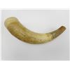 Image 1 : POWDER HORN, NOT ENDS