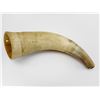 Image 2 : POWDER HORN, NOT ENDS
