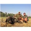 Image 1 : 15 day Cape Buffalp/Blue Wilde Beast hunt