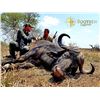 Image 3 : 15 day Cape Buffalp/Blue Wilde Beast hunt
