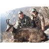Image 1 : Carpathian or Balkan Chamois Hunt for 2 hunters