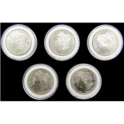 5-BU MORGAN DOLLARS;