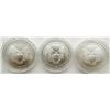 Image 3 : 3- AMERICAN SILVER EAGLES - BEAUTIFUL BU'S