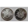 Image 2 : 1987 & 2003 AMERICAN SILVER EAGLES