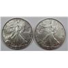 Image 1 : 2006 & 2005 AMERICAN SILVER EAGLES
