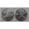 Image 1 : 2012 & 2013 AMERICAN SILVER EAGLES