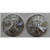 Image 1 : 2-2013 AMERICAN SILVER EAGLES