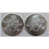 Image 2 : 2-2013 AMERICAN SILVER EAGLES