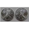 Image 1 : 2013 & 2016 AMERICAN SILVER EAGLES