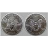 Image 2 : 2013 & 2016 AMERICAN SILVER EAGLES
