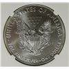Image 3 : 2016 AMERICAN SILVER EAGLE NGC MS70 EARLY RELEASE