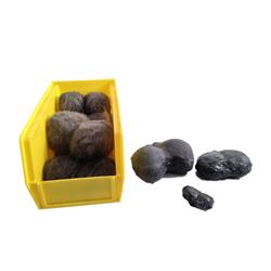 Father Figures Veterinary/Cat Movie Props