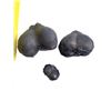 Image 3 : Father Figures Veterinary/Cat Movie Props