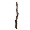 Image 1 : Django (Jamie Fox) Screen Used Lone Pine Branch Movie Props
