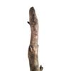 Image 2 : Django (Jamie Fox) Screen Used Lone Pine Branch Movie Props