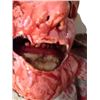 Image 5 : Hell Fest Donald Trump Zombie Movie Props