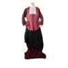 Image 1 : Tulip Fever Mrs. Overvalt (Joanna Scanlan) Movie Costumes