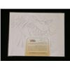Image 2 : The Savage Dragon Animation Cel