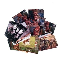 The Age of Adaline Adaline Bowman (Blake Lively) Movie Props
