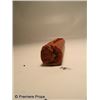 Image 4 : Inglourious Basterds Screen Used Ankle Bomb Movie Props