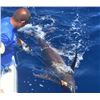 Image 3 : Sea of Cortez deep sea fishing
