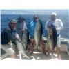 Image 4 : Sea of Cortez deep sea fishing