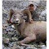 Image 2 : Alberta Rocky Mountain Sheep Hunt
