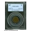 Image 1 : 1877 1C AU50 PCGS. Medium brown surfaces are semi