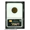 Image 2 : 1916-S 1C MS65 Brown NGC. Vibrant matte-like surf