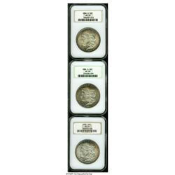 1884-O S$1 MS65 NGC, gorgeous russet and apple-gr