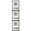 Image 2 : 1939 SET Oregon PDS Set MS65 NGC. The set include