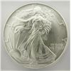 Image 2 : 1993 AMERICAN SILVER EAGLE ICG MS69