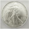 Image 2 : 1994 AMERICAN SILVER EAGLE ICG MS69